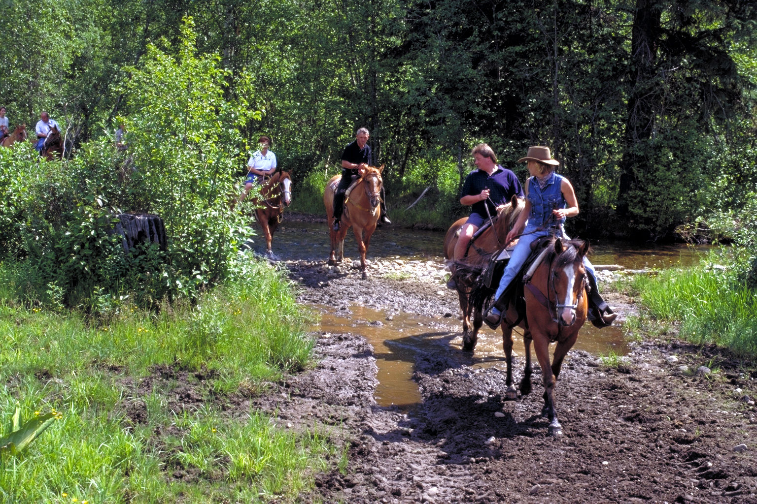 Готель Wells Gray Guest Ranch Клірвотер Екстер'єр фото
